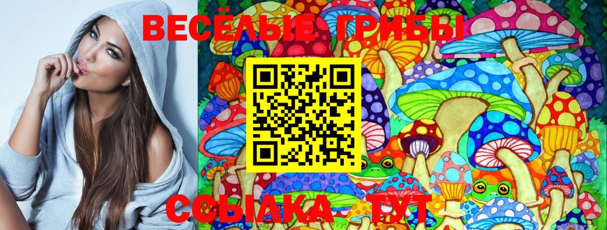 Галлюциногенные грибы прущие грибы Аша