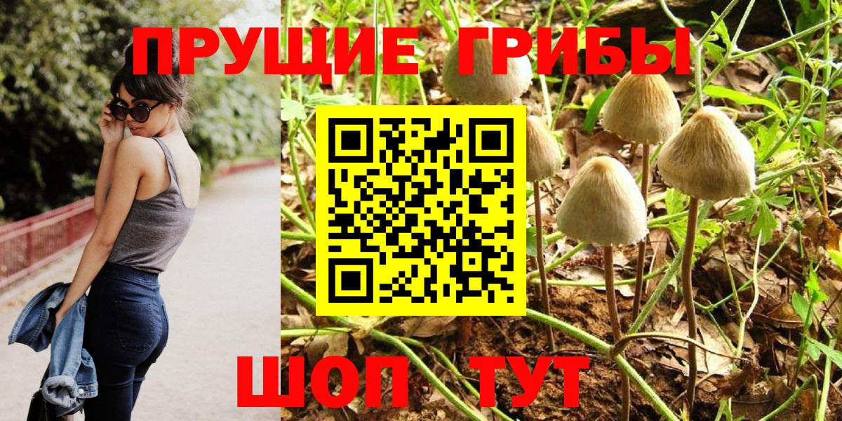 Галлюциногенные грибы ЛСД  Вход с VPN  Псилоцибиновые грибы Cubensis  цена наркотик  Аша 