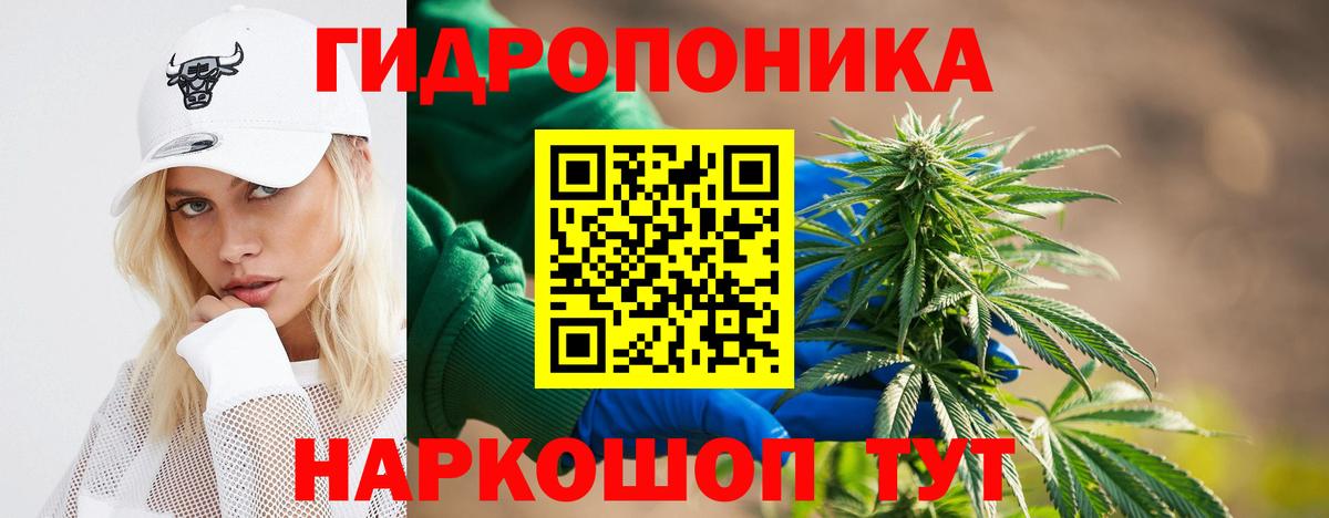 Конопля MAZAR Аша